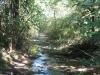 [Thumbnail for Lost Valley Creek.png]